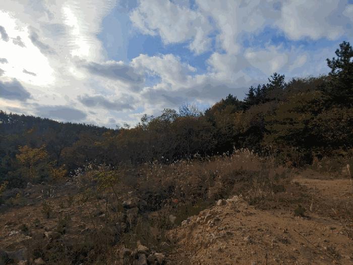 충청남도 태안군 태안읍 평천리 728-6 임야 경매 사진 2