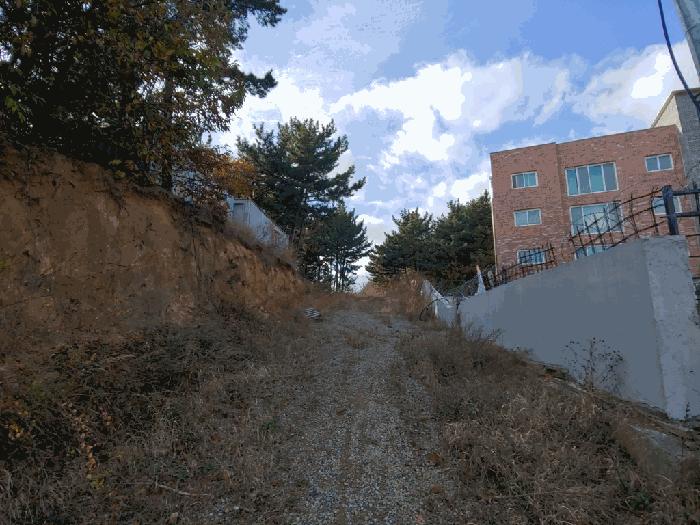충청남도 태안군 태안읍 평천리 728-6 임야 경매 사진 4