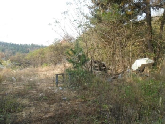 충청남도 태안군 태안읍 평천리 728-6 임야 경매 사진 9