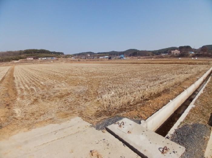 충청남도 당진시 석문면 삼봉리 694-9 답 경매 사진 4