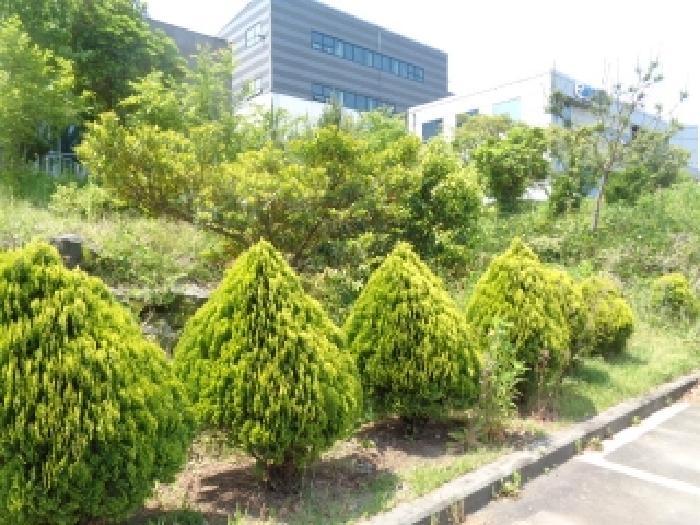 제주특별자치도 제주시 영평동 2230-2 대지 경매 사진 9
