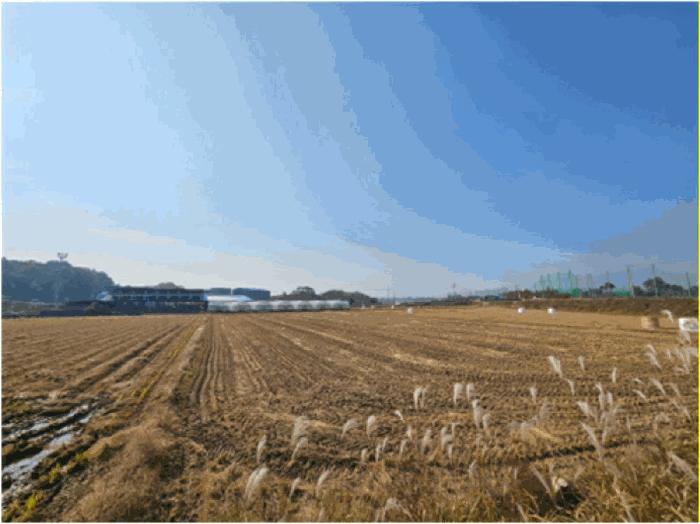경기도 평택시 서탄면 금각리 1264 답 경매 사진 3