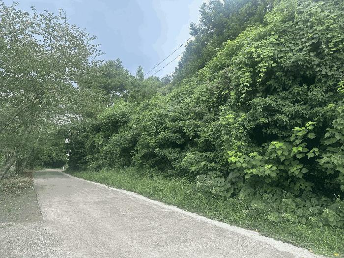 제주 서귀포시 임야