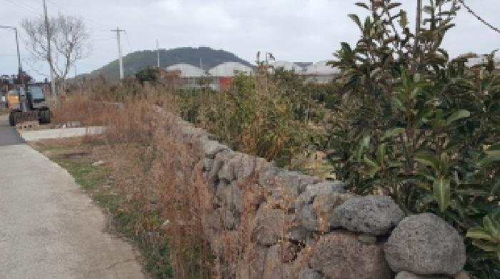 제주특별자치도 제주시 삼양일동 282 전 경매 사진 12