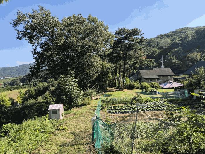 경기도 안성시 삼죽면 배태리 산117-3 임야 경매 사진 4
