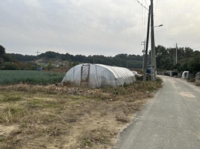 충청북도 증평군 증평읍 덕상리 555 답 경매 사진 12