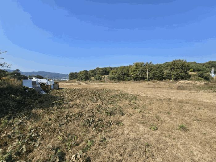 충청북도 증평군 증평읍 덕상리 555 답 경매 사진 4