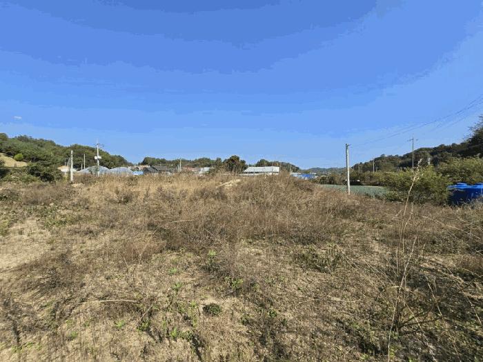 충청북도 증평군 증평읍 덕상리 555 답 경매 사진 8