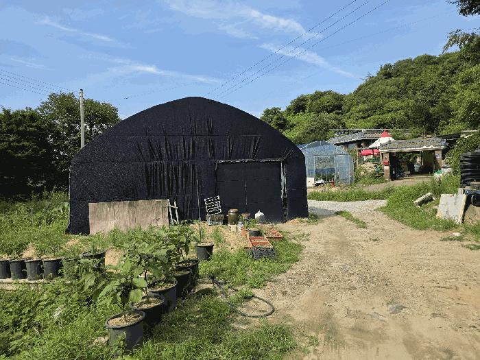 충청북도 괴산군 감물면 오성리 369 전 경매 사진 10