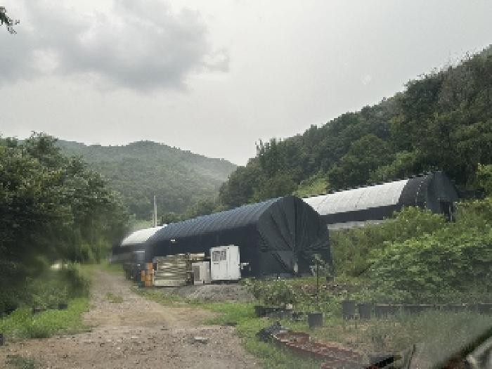 충청북도 괴산군 감물면 오성리 369 전 경매 사진 18