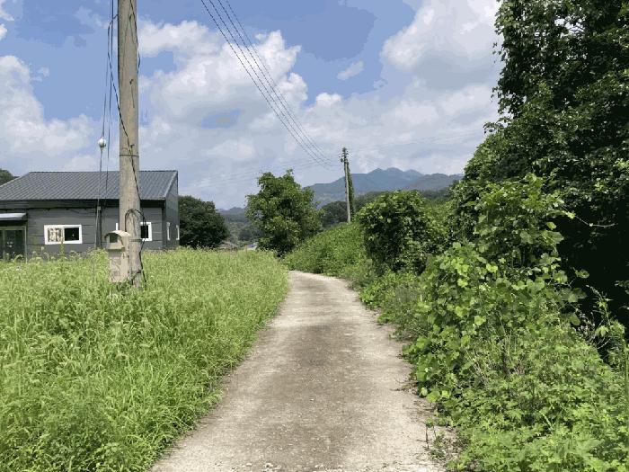 충청북도 괴산군 감물면 매전리 745-1 공장 경매 사진 6