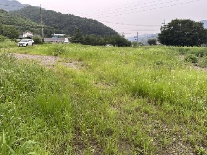 충청북도 괴산군 감물면 매전리 745-1 공장 경매 사진 8