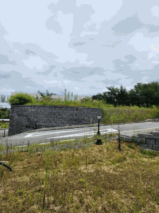 충청북도 청주시 흥덕구 오송읍 정중리 180-10 도로 경매 사진 9