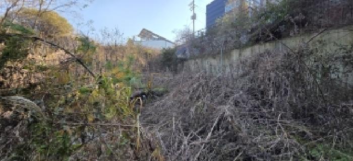 경기도 파주시 탄현면 낙하리 301-14 임야 경매 사진 11
