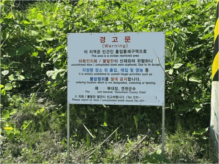 경기도 연천군 백학면 석장리 산203 임야 경매 사진 2