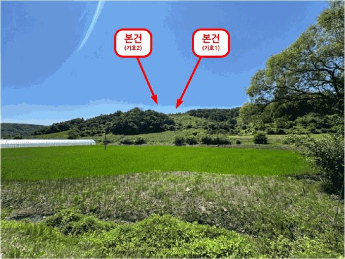 경기도 연천군 백학면 석장리 산203 임야 경매 사진 3