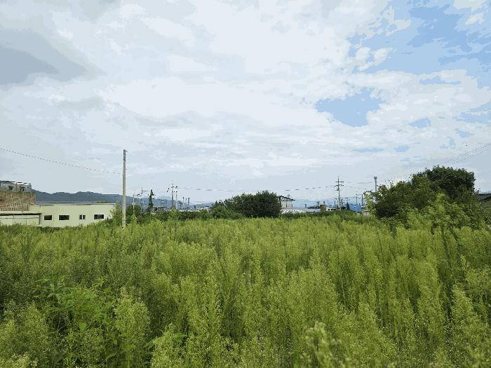 경기 양주시 전