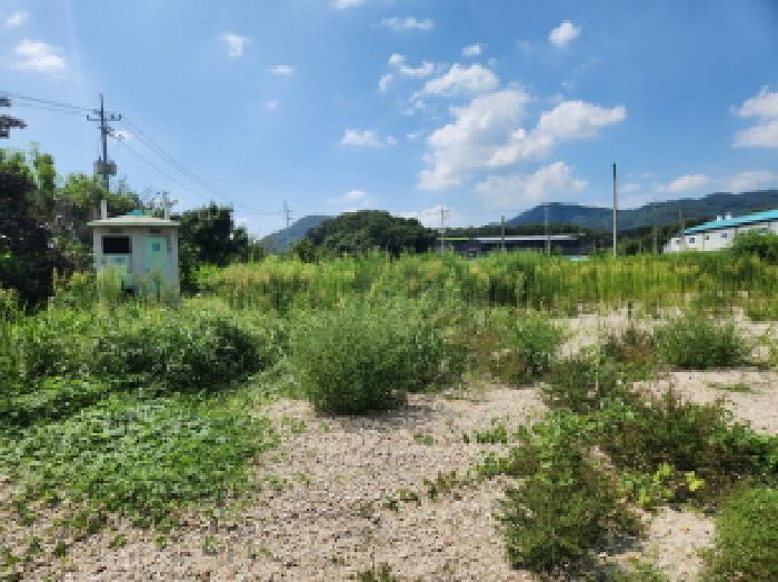 경기도 양주시 남면 한산리 281-5 전 경매 사진 11