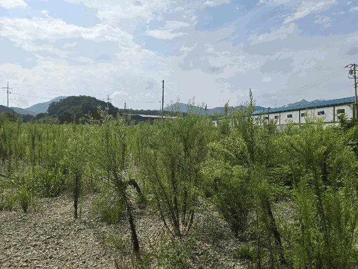 경기도 양주시 남면 한산리 281-5 전 경매 사진 6