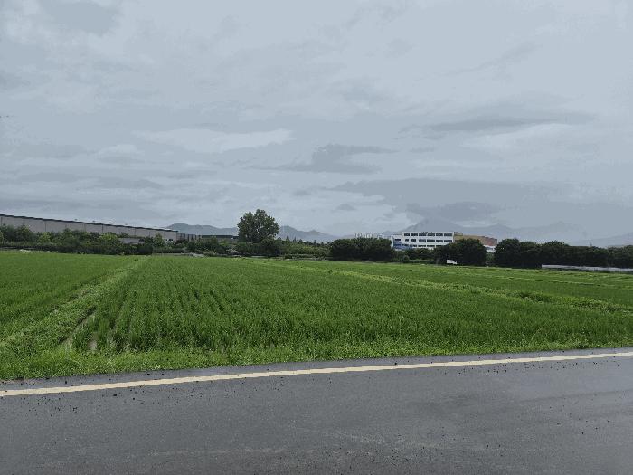 대구 달성군 답