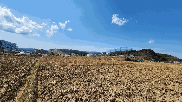 울산광역시 북구 달천동 521 답 경매 사진 1