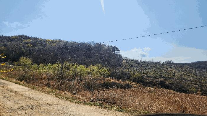 울산광역시 북구 달천동 521 답 경매 사진 5