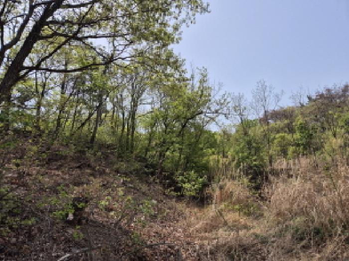 울산광역시 북구 천곡동 282-2 답 경매 사진 13