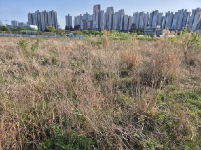울산광역시 북구 천곡동 282-3 답 경매 사진 11