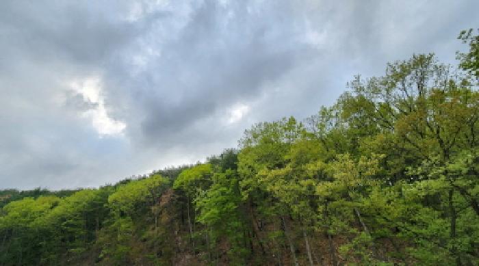 경상남도 양산시 용당동 133-17 임야 경매 사진 13