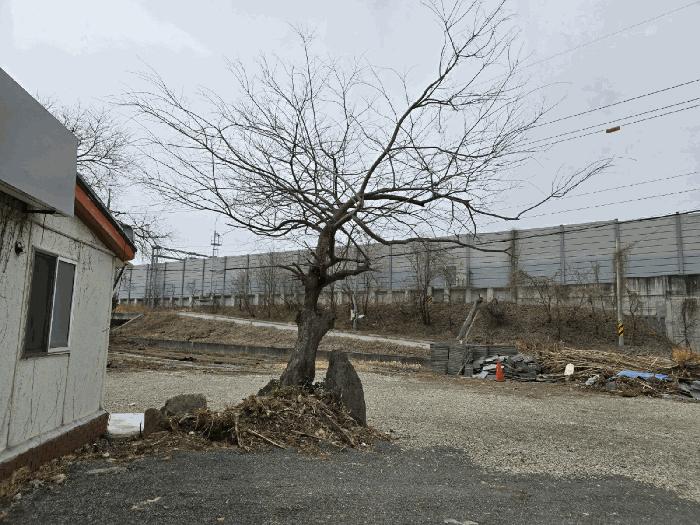 울산광역시 울주군 두서면 활천리 289-7 근린주택 경매 사진 19