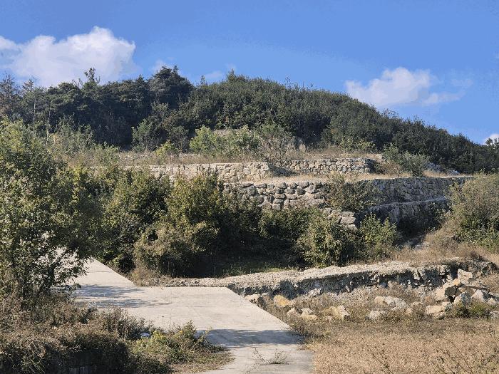 경상북도 청도군 이서면 대전리 산133-2 임야 경매 사진 13