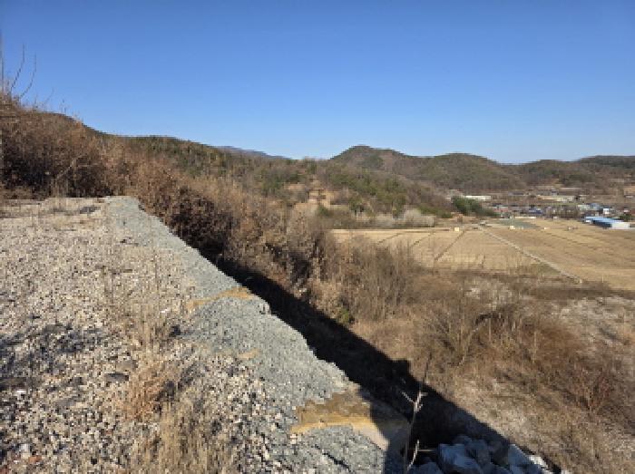 경상북도 청도군 이서면 대전리 산133-2 임야 경매 사진 19