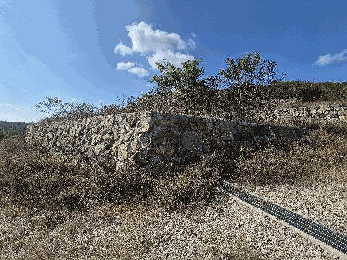 경상북도 청도군 이서면 대전리 산133-2 임야 경매 사진 8
