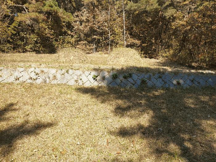 경상북도 칠곡군 북삼읍 오평리 산67 임야 경매 사진 2