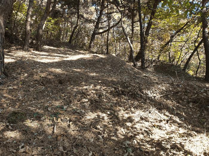 경상북도 칠곡군 북삼읍 오평리 산67 임야 경매 사진 5
