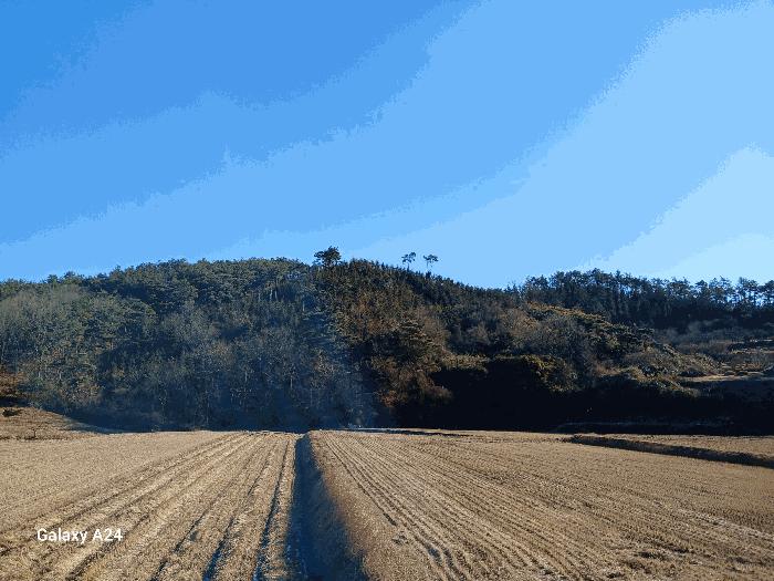 광주광역시 북구 호동로 100, 105동 9층901호구) 광주광역시 북구 우산동 631-1 아파트 경매 사진 2