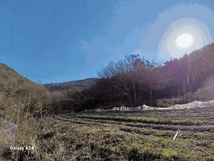광주광역시 광산구 사암로340번길 30, 1014동 9층904호 (월곡동,영천마을주공아파트)구) 광주광역시 광산구 월곡동 685-1 아파트 경매 사진 6