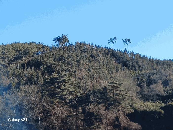 광주광역시 광산구 사암로340번길 30, 1014동 9층904호 (월곡동,영천마을주공아파트)구) 광주광역시 광산구 월곡동 685-1 아파트 경매 사진 8