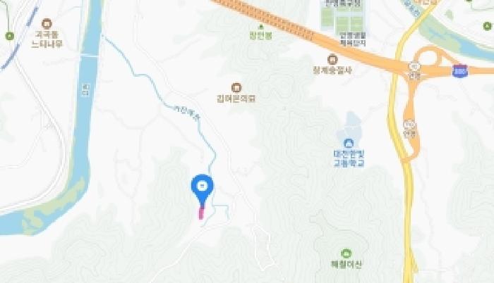 대전광역시 서구 괴곡동 182 전 경매 사진 19