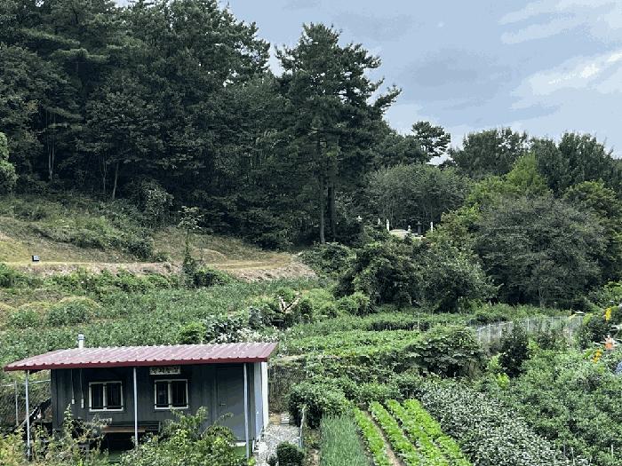 대전광역시 서구 괴곡동 182 전 경매 사진 2