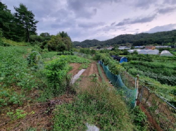 대전광역시 서구 괴곡동 182 전 경매 사진 4