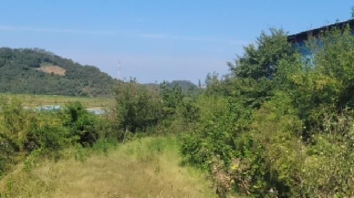 경상남도 함안군 대산면 하기리 173-9 임야 경매 사진 12