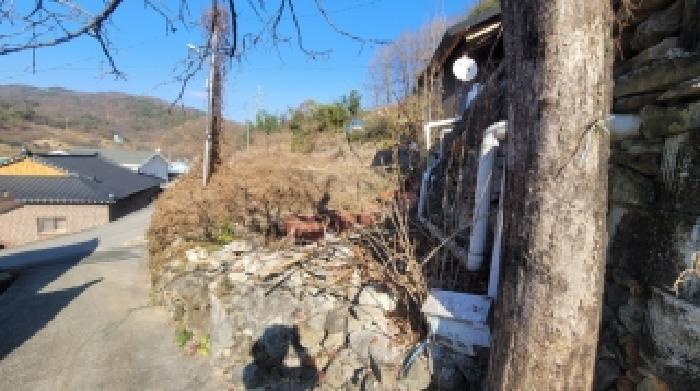 경상남도 함안군 칠원읍 장암리 349 답 경매 사진 17
