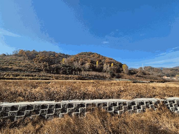 경상남도 함안군 칠원읍 장암리 329-4 전 경매 사진 1