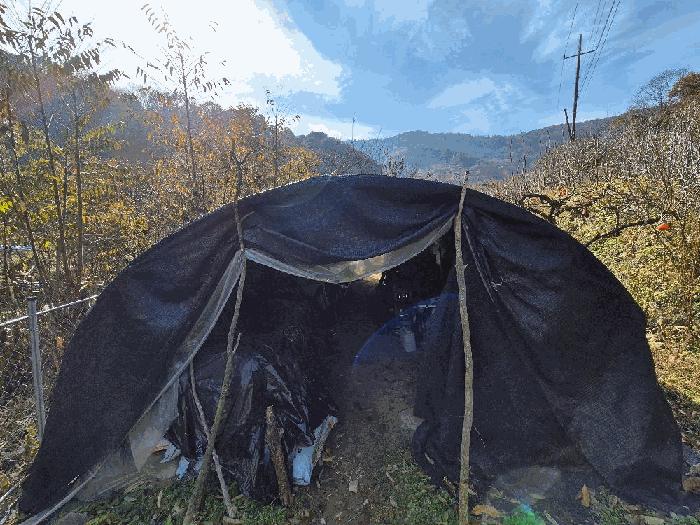 경상남도 함안군 칠원읍 장암리 329-4 전 경매 사진 10