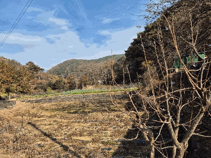 경상남도 함안군 칠원읍 장암리 334 대지 경매 사진 13