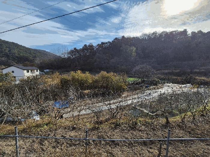 경상남도 함안군 칠원읍 장암리 470 답 경매 사진 9
