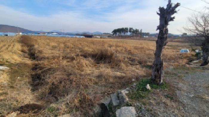 경상남도 함안군 대산면 하기리 64-7 답 경매 사진 9