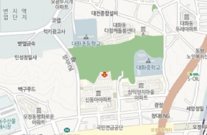 대전광역시 대덕구 오정동 635-1 신동아아파트 3동 11층1101호 아파트 경매 사진 8