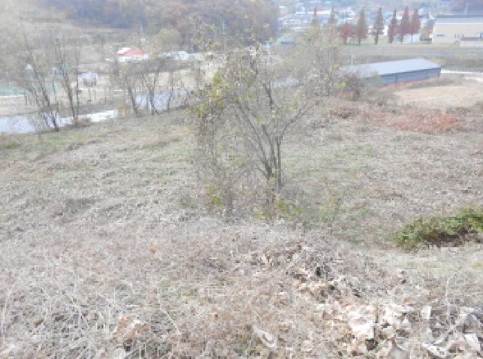 세종특별자치시 전동면 청송리 458-1 공장 경매 사진 19